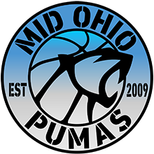 Updated Puma Logo optimized copy